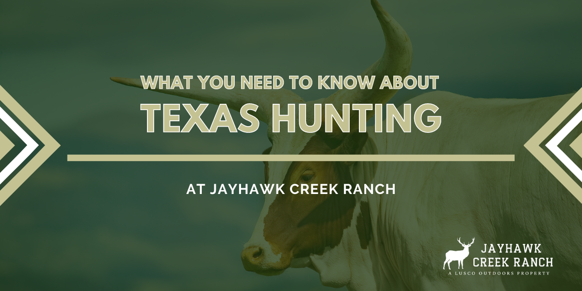 Let's Talk About Texas Hunting